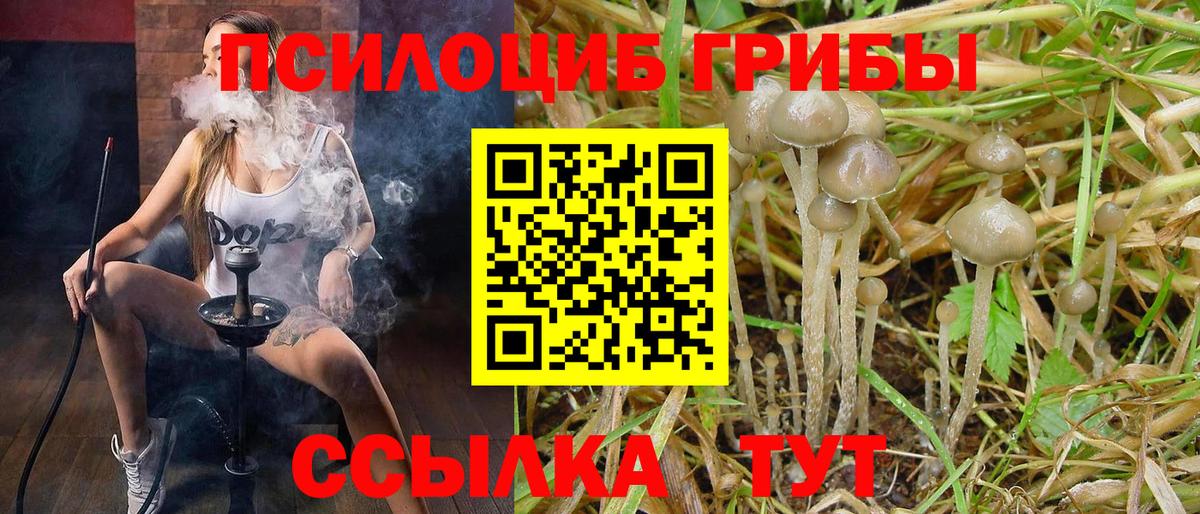 Псилоцибиновые грибы прущие грибы  Вход с VPN  Обнинск 